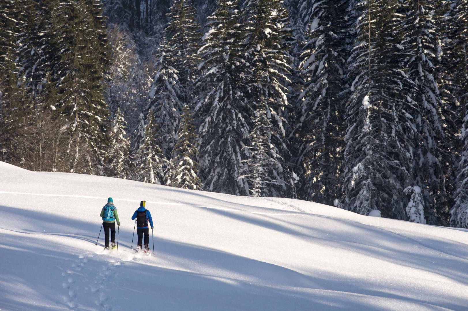 Winterwandern